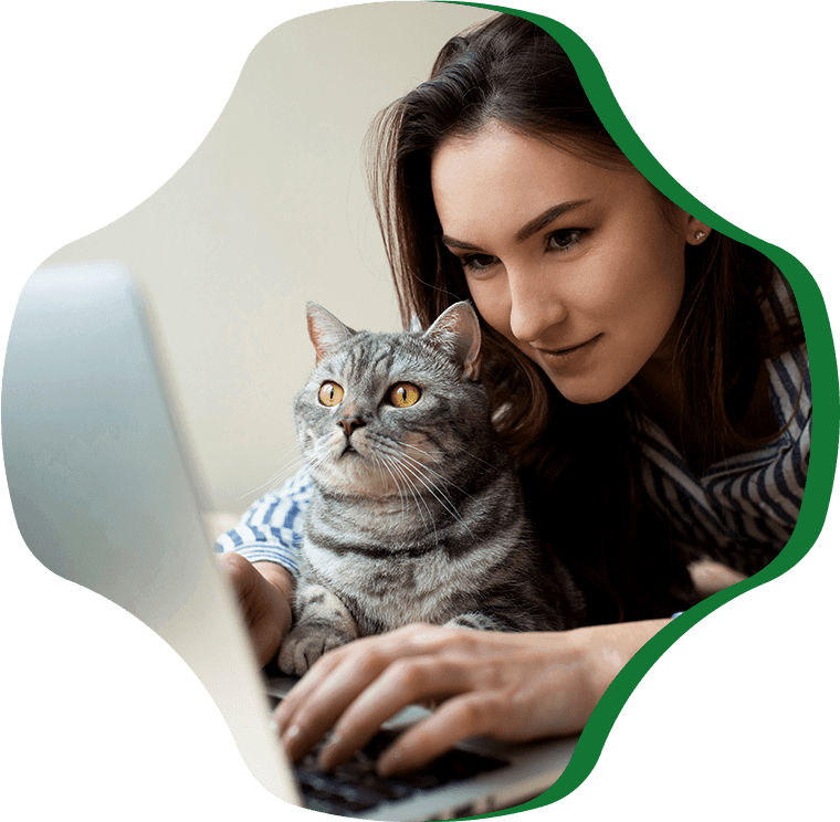 girl with her cat looking laptop
