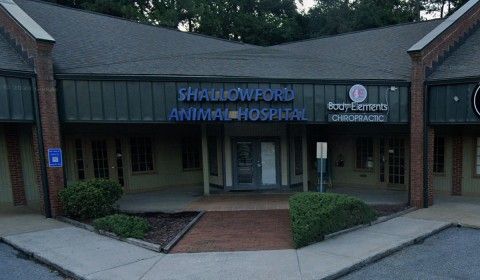 Welcome to Shallowford Animal Hospital