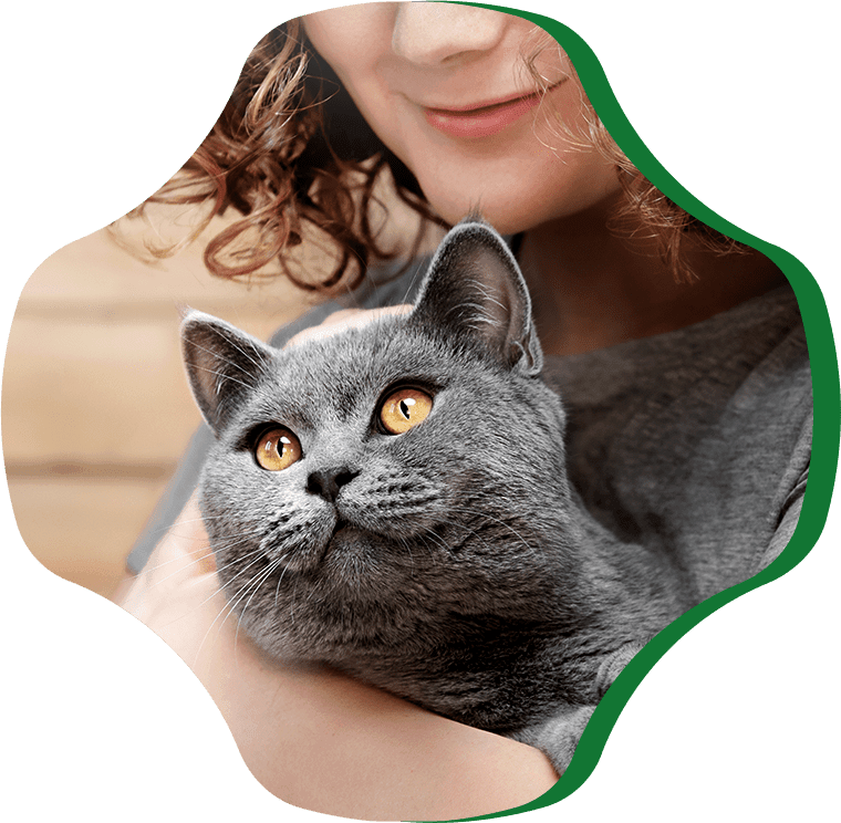 woman holds cat her arms